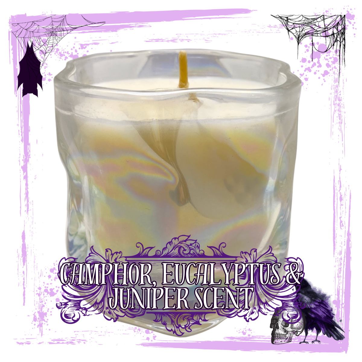 Morning Walk : Camphor, Eucalyptus & Juniper Scented Candle