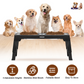 GBruno Dog Raised Bowls