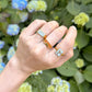Sunrise Rectangular Signet Ring