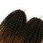 African wig short curly hair