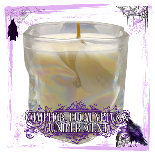 Morning Walk : Camphor, Eucalyptus & Juniper Scented Candle