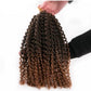 African wig short curly hair