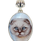 Scottish Cat Silver Plated Mother of Pearl Jewelry Pendant Necklace - 44038O
