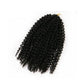 African wig short curly hair