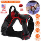 Light Up Dog Harness Rechargeable LED Dog Harness No Pull Lighted Dog Vest with Handle for Small/Medium/Large Dogs