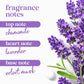 Dove Body Wash with Pump Relaxing Lavender Oil & Chamomile 3 Count for Renewed, Healthy-Looking Skin Gentle Skin Cleanser with 24hr Renewing MicroMoisture 30.6 oz