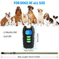 GBruno Dog Training Collar w/ Remote