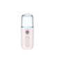 Mini Mist Sprayer
