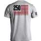 America 250 Years Anniversary Flag