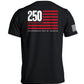 America 250 Years Anniversary Flag