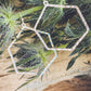 Beautiful Geometric Gold or Silver Earrings