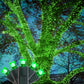 4 pack - 5mm - 50 ct - Green LED- 4" spacing - Green wire - 17 ft long