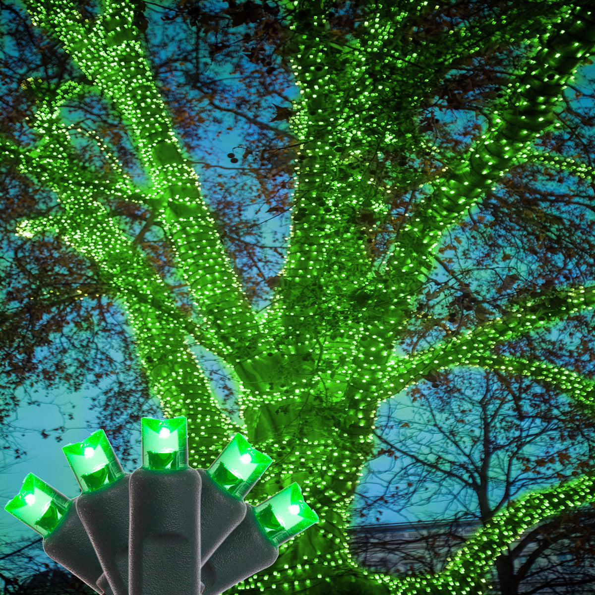4 pack - 5mm - 50 ct - Green LED- 4" spacing - Green wire - 17 ft long