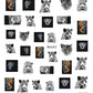 Nail Sticker Snake  Dragon Butterfly Black Multicolor Decals Nail Art Tattoo Slider Water Transfer Letter Nails Art Decoration