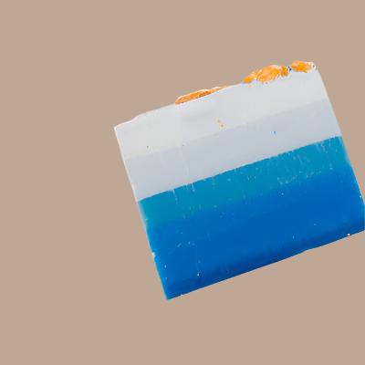 Coastal Elite Soap Bar
