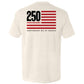 America 250 Years Anniversary Flag