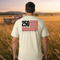 America 250 Years Anniversary Flag
