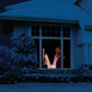 The Original Virtual Santa in The Window Movie on DVD