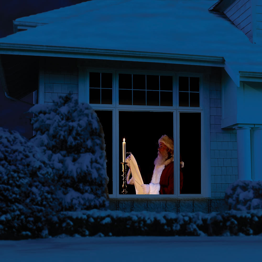 The Original Virtual Santa in The Window Movie on DVD