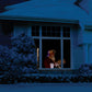 The Original Virtual Santa in The Window Movie on DVD