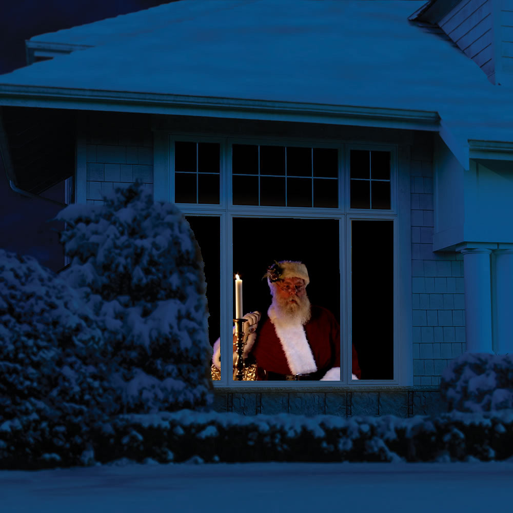 The Original Virtual Santa in The Window Movie on DVD