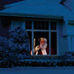 The Original Virtual Santa in The Window Movie on DVD