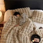 Thick Plush Blanket