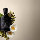 Creed Absolu Aventus Eau De Parfum For Men