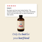 All American Pet Shampoo - 16 oz