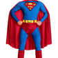 Charming Superman Costume