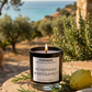 Rosemary & Bergamot Scented Soy Candle
