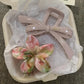 2Pcs/set Vintage Blue Polka Dot Red Bow Hair Clip Shark Claw Clamp Hairpin Barrette Korean Hair Headwear Accessory 2030