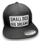 Small Dick Big Dreams 2026 Snapback
