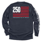 America 250 Years Anniversary Flag