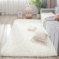 Carpet Soft Rug