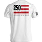 America 250 Years Anniversary Flag