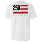 America 250 Years Anniversary Flag