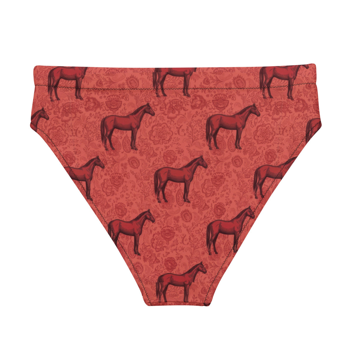 Scarlet Rein high-waisted bikini bottom
