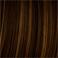 Hairdo Angled Cut Wig New With Tags