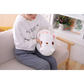 Animal Plush Toys