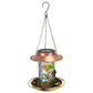 GBruno Solar Bird Feeder