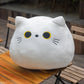 Black Cat Plushie