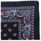 18 Pack 22 Inch Regular Size Polyester Paisley Bandanas