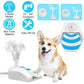 GBruno Outdoor Dog Water Fountain