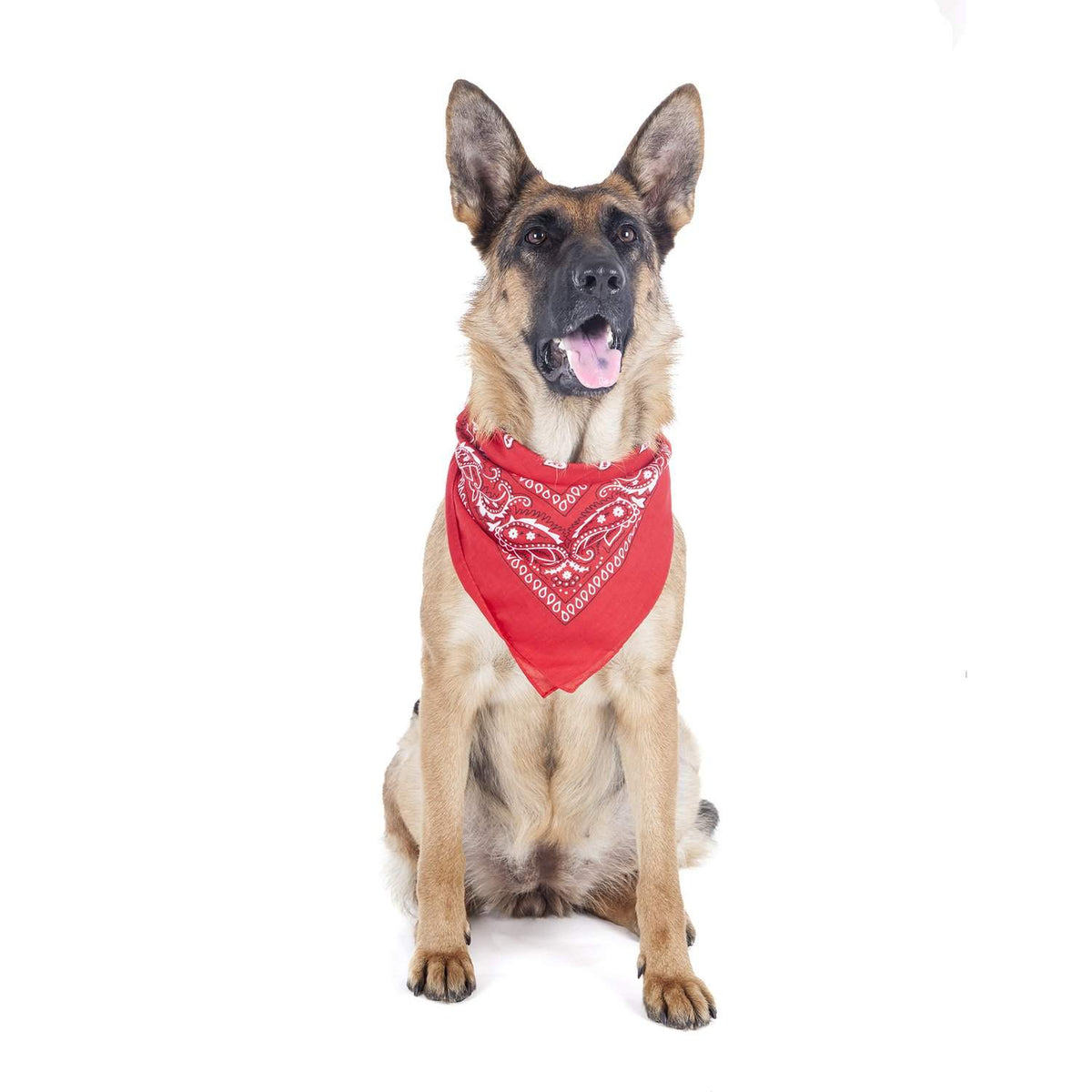 2 Pack Paisley Polyester Pets Dogs Bandana Triangle Shape  - Oversized