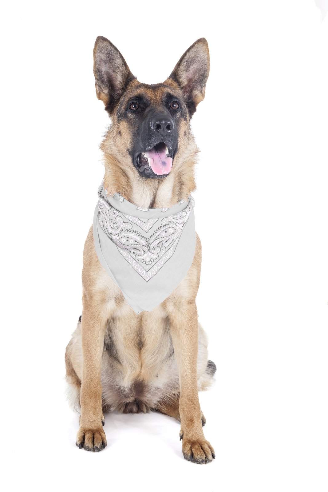 2 Pack Paisley Polyester Pets Dogs Bandana Triangle Shape  - Oversized