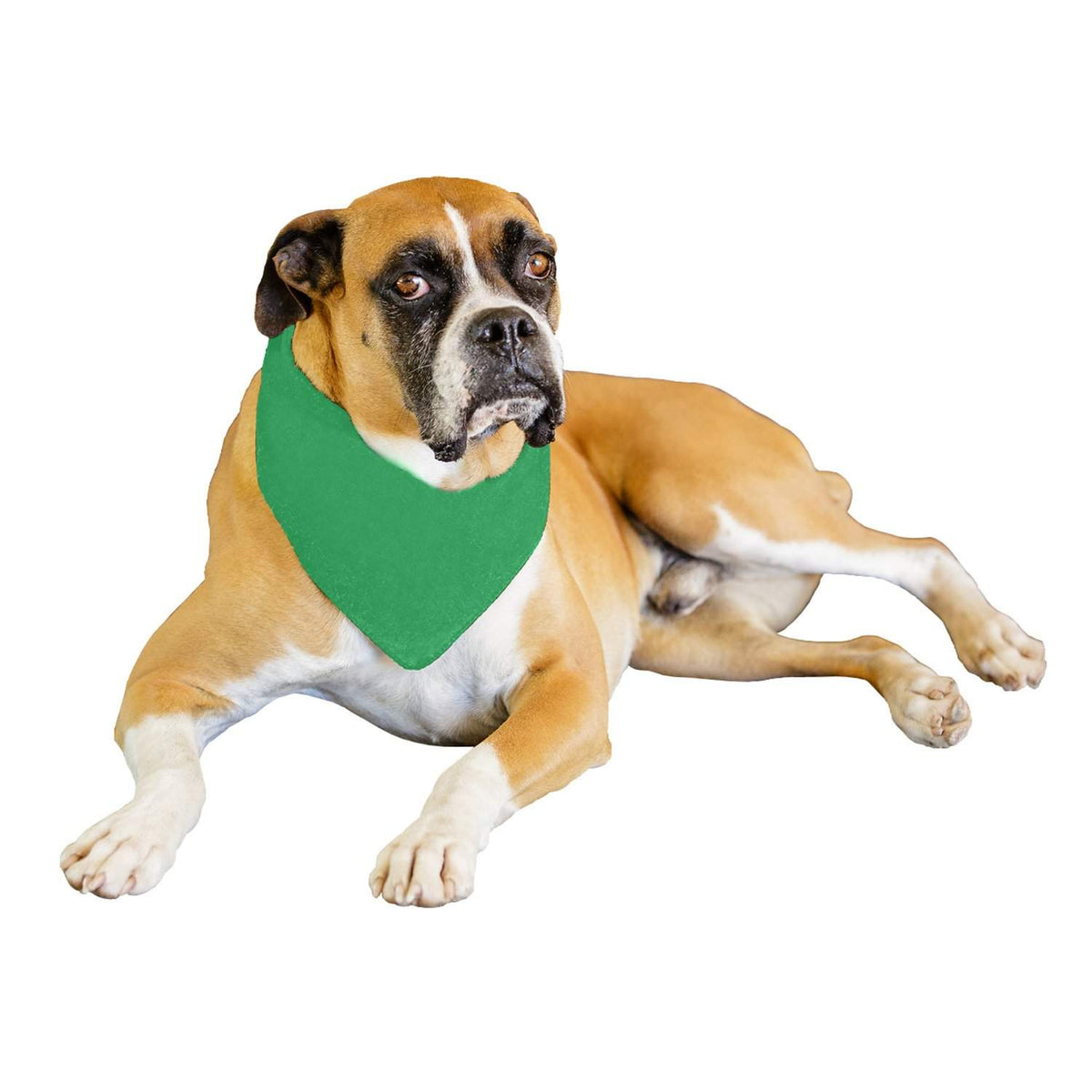 Qraftsy Solid Polyester 12 Pack Dog Neckerchief Triangle Bibs  - Extra Large