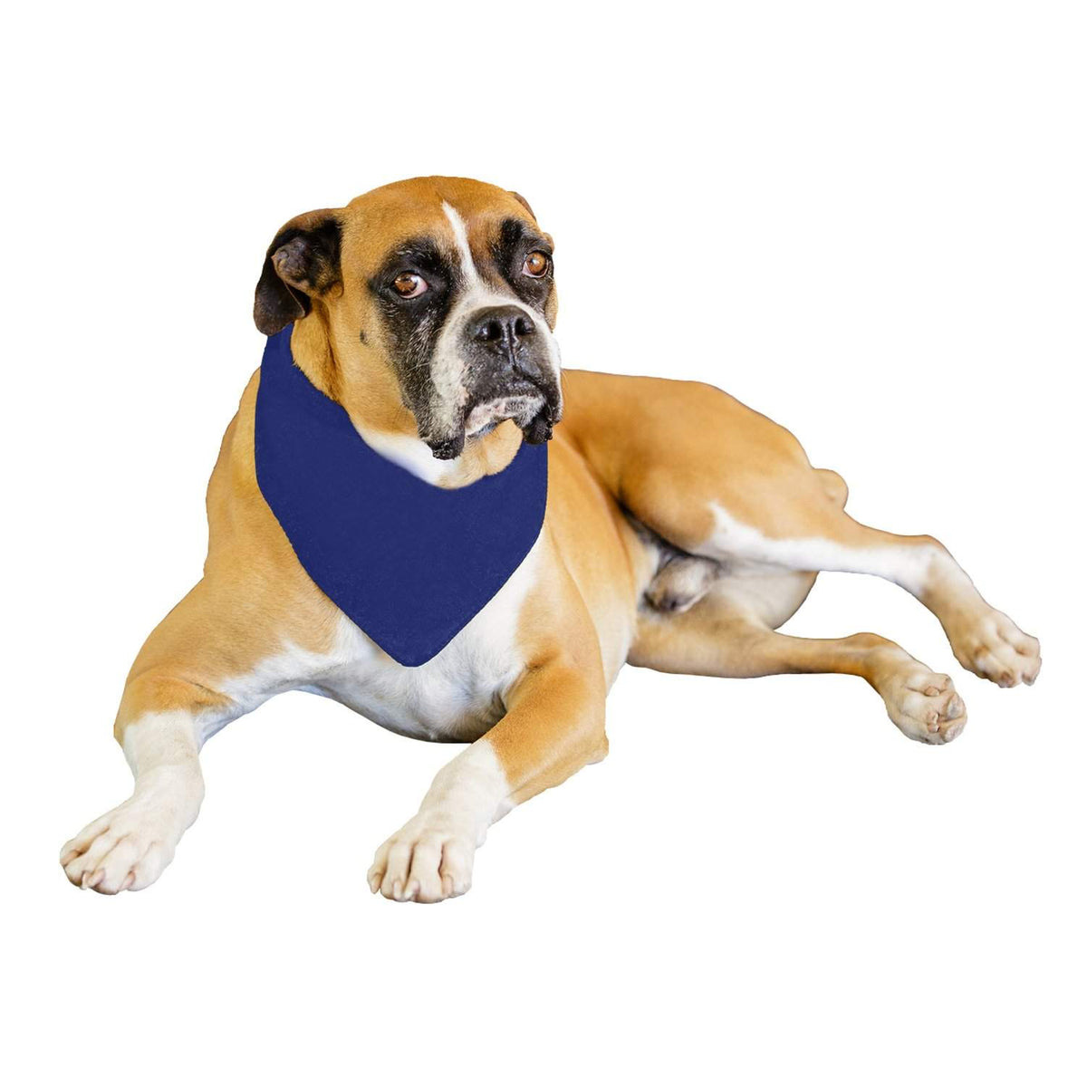 Qraftsy Solid Polyester 12 Pack Dog Neckerchief Triangle Bibs  - Extra Large