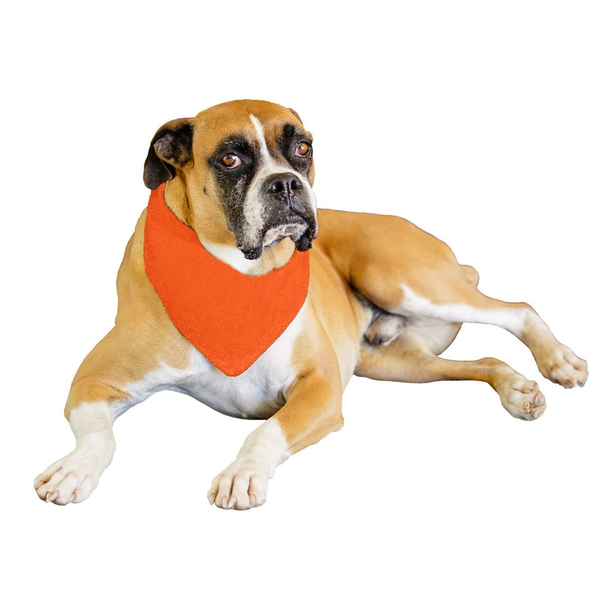 Qraftsy Solid Polyester 12 Pack Dog Neckerchief Triangle Bibs  - Extra Large