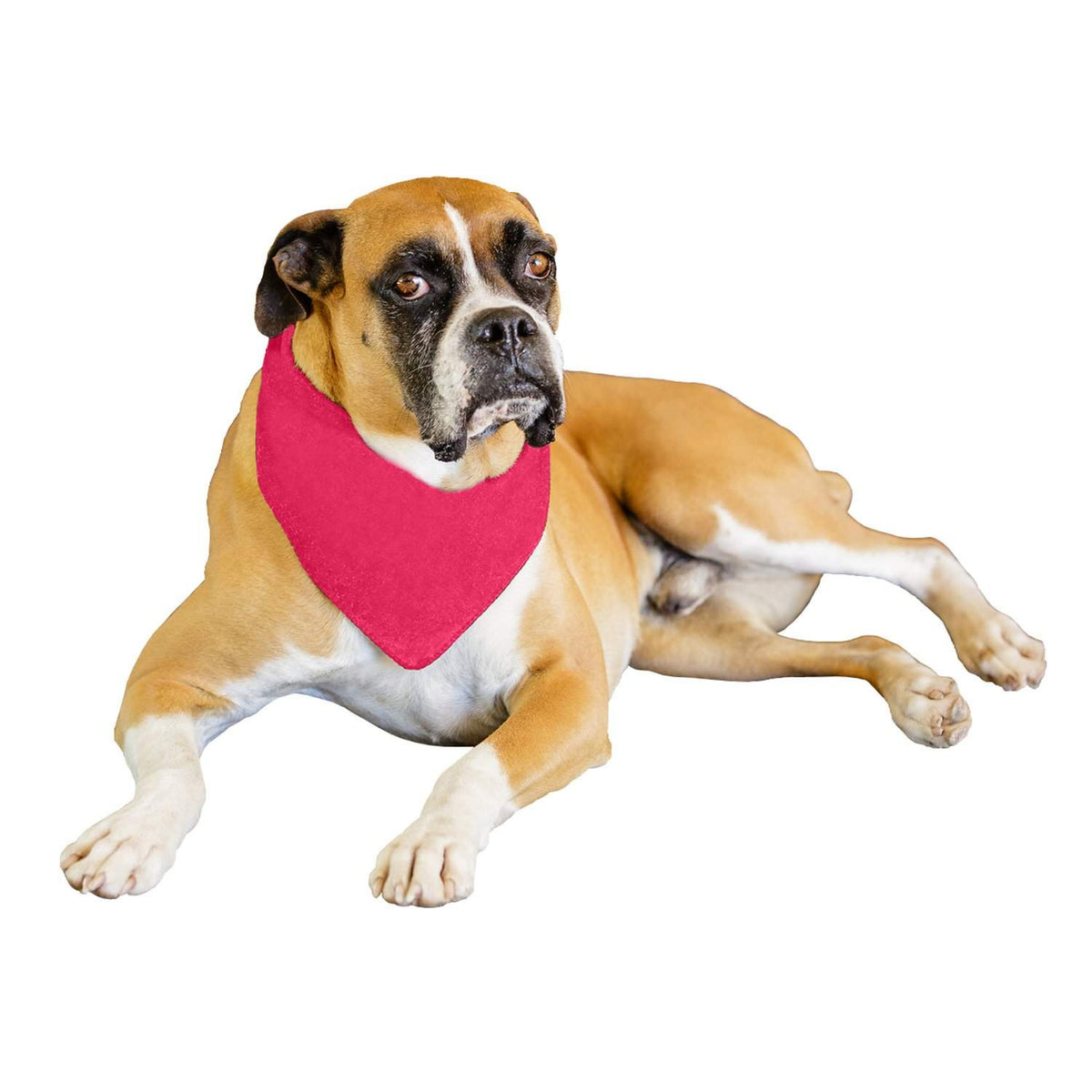 Qraftsy Solid Polyester 12 Pack Dog Neckerchief Triangle Bibs  - Extra Large